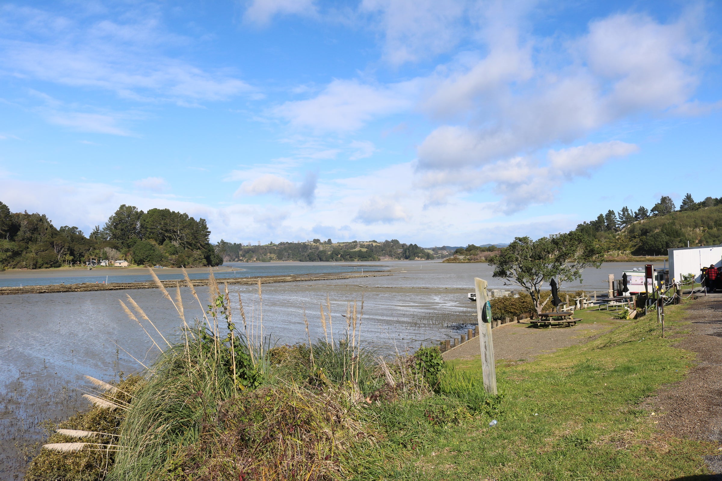 Ohiwa Oyster Farm