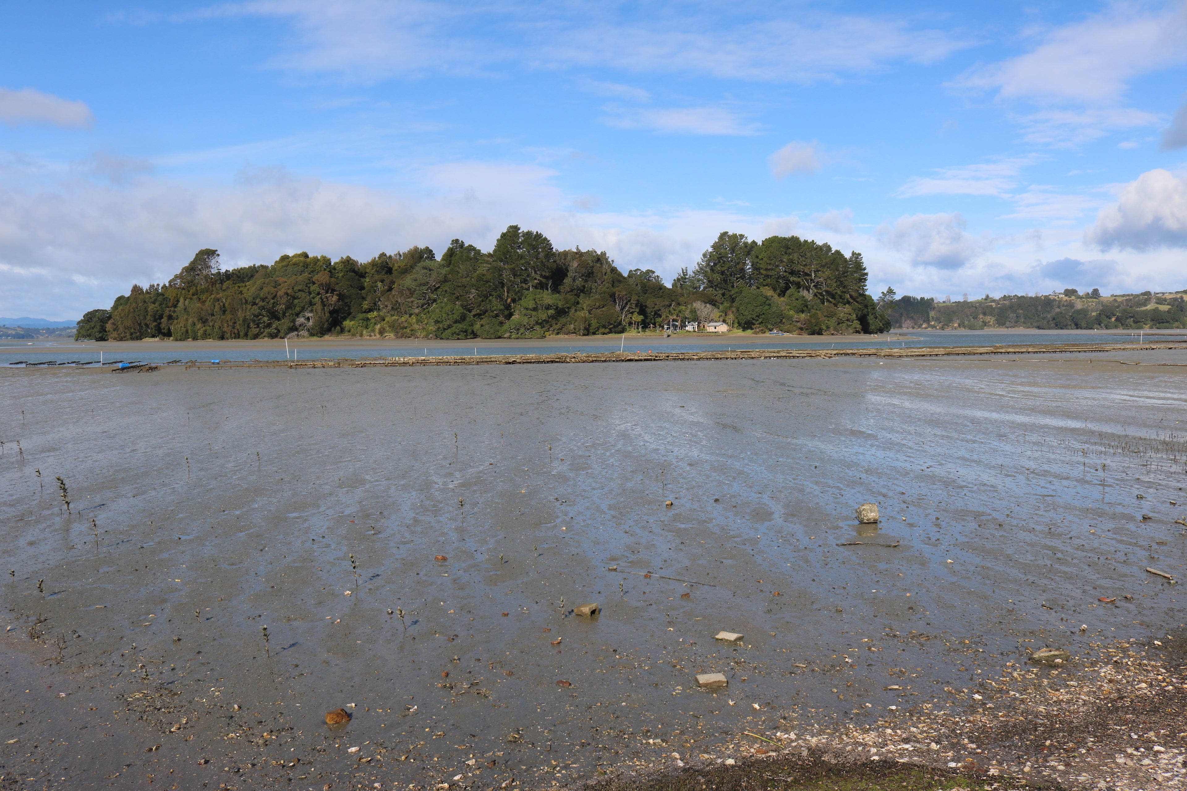Ohiwa Oyster Farm