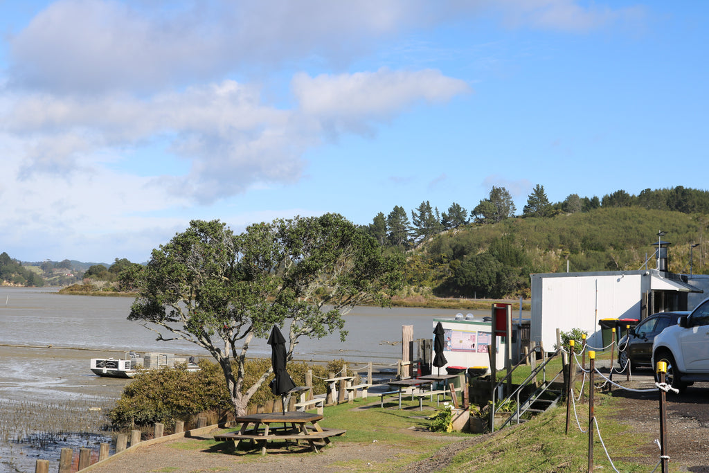 Ohiwa Oyster Farm