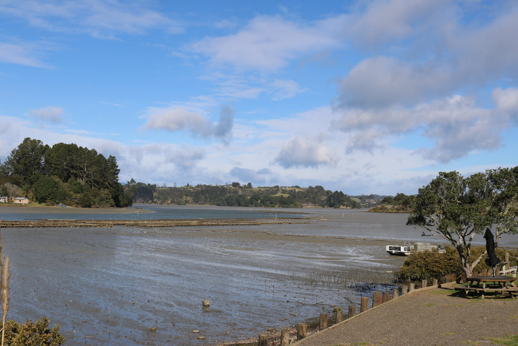 Ohiwa Oyster Farm