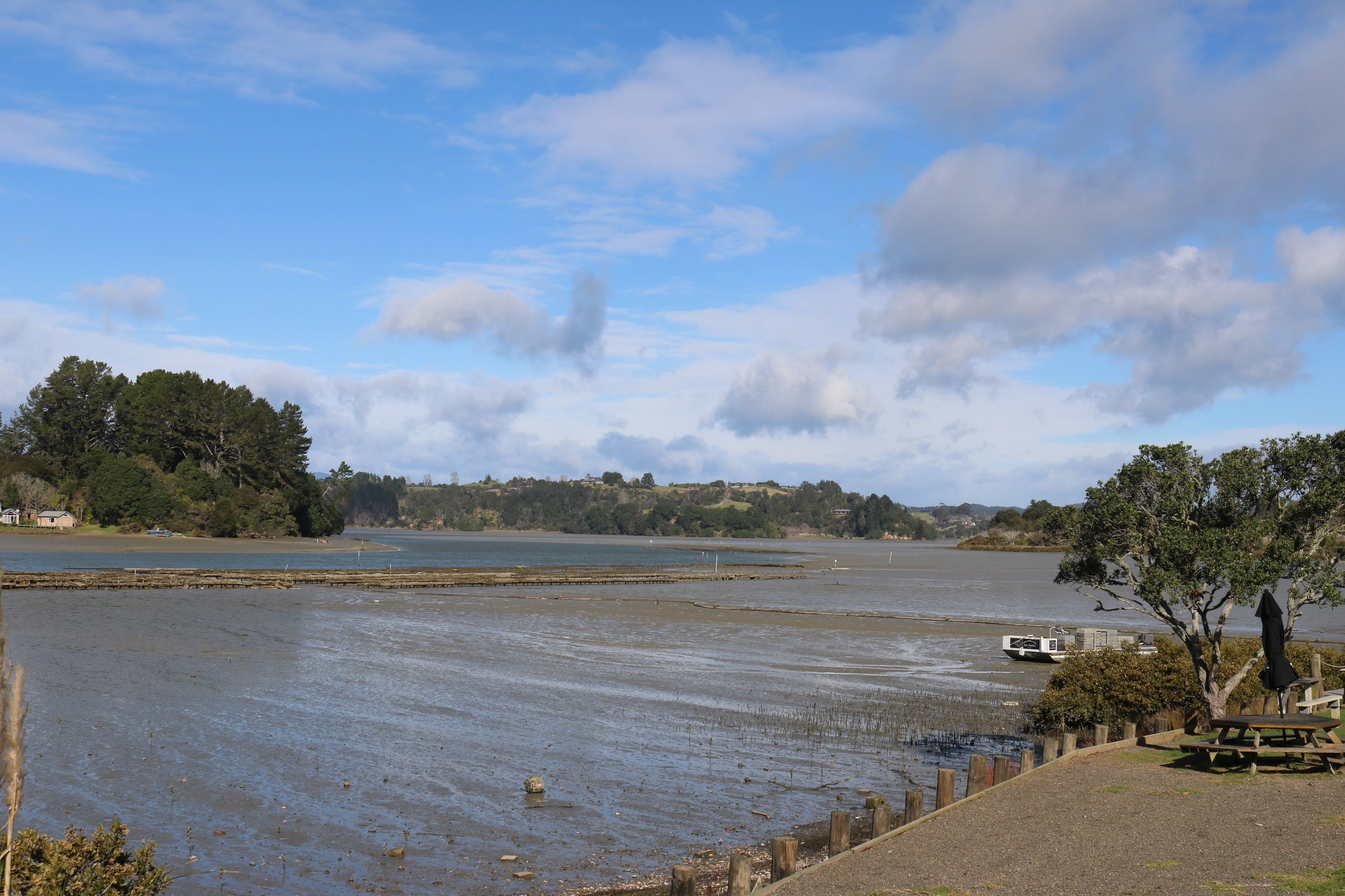 Ohiwa Oyster Farm