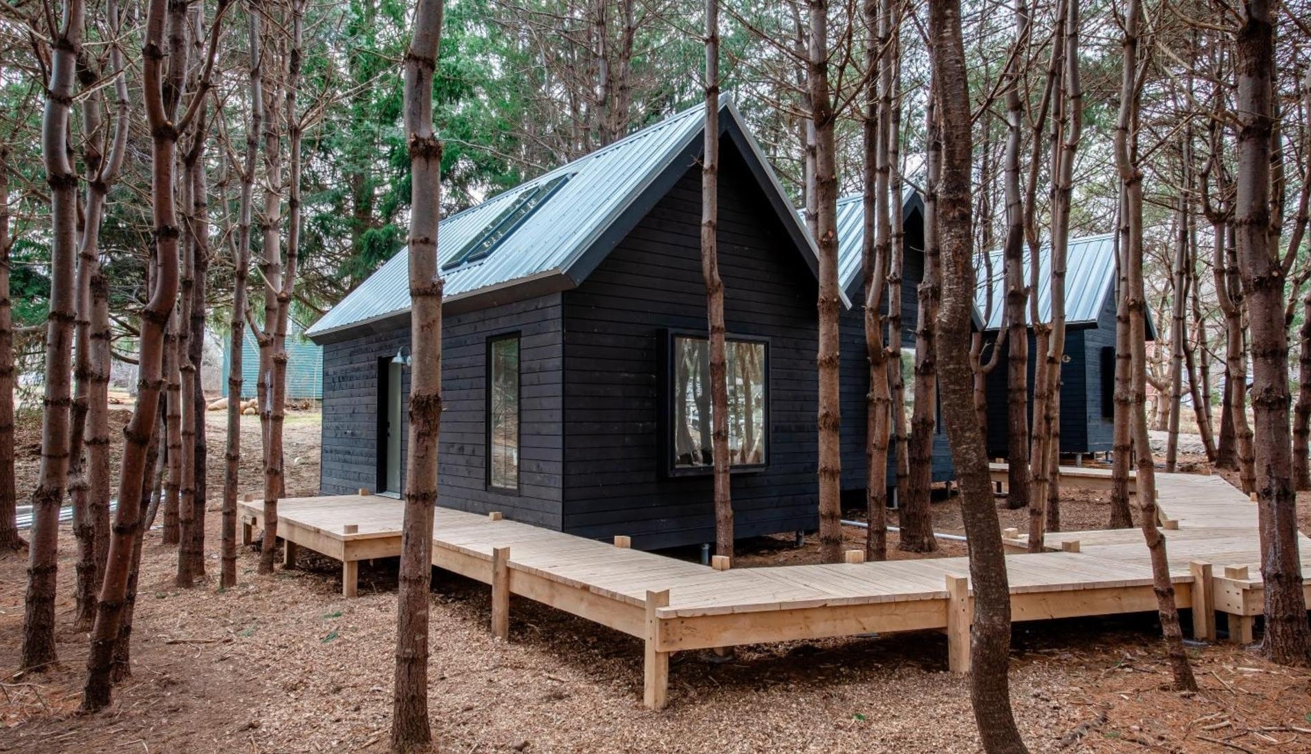 Black Forest Cabins
