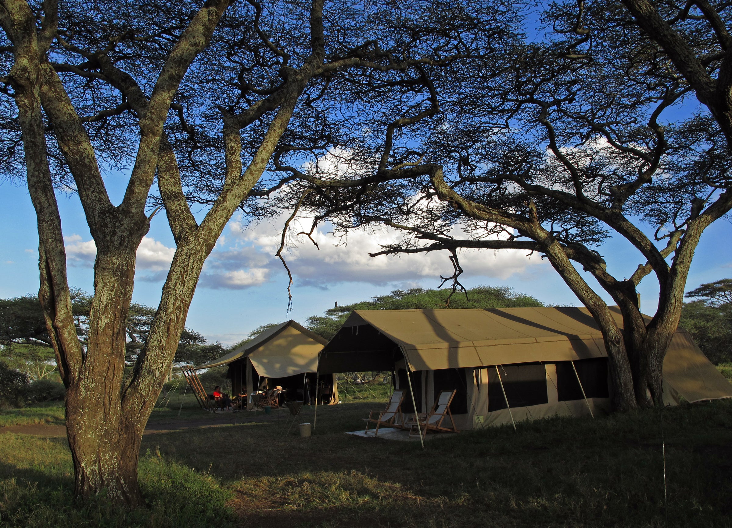 dmAFRICA Classic Mobile Camp - Southern Serengeti
