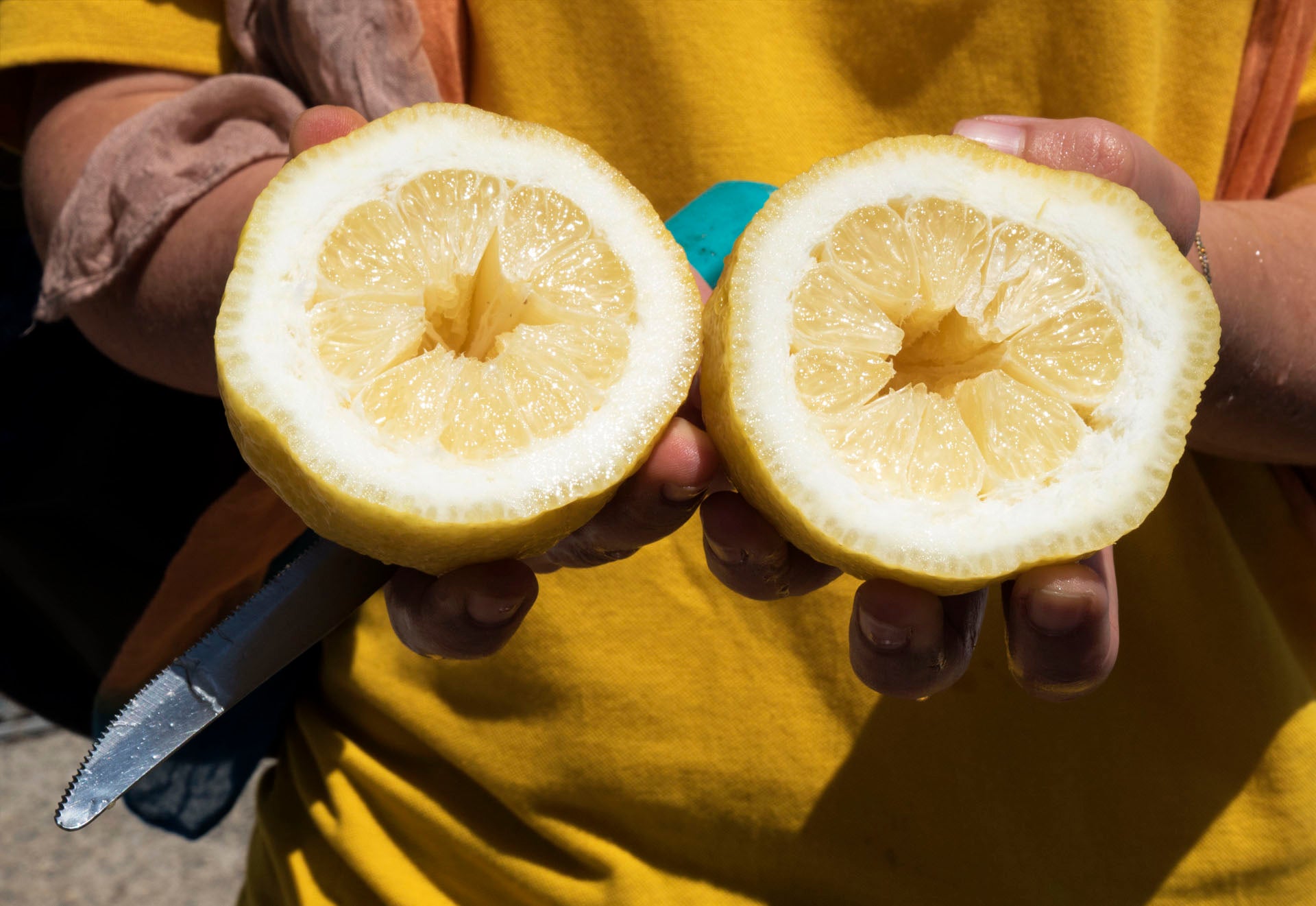 Amalfi Lemon Experience