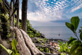 Amalfi Lemon Experience