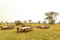 Moyo Tented Camp Hembe