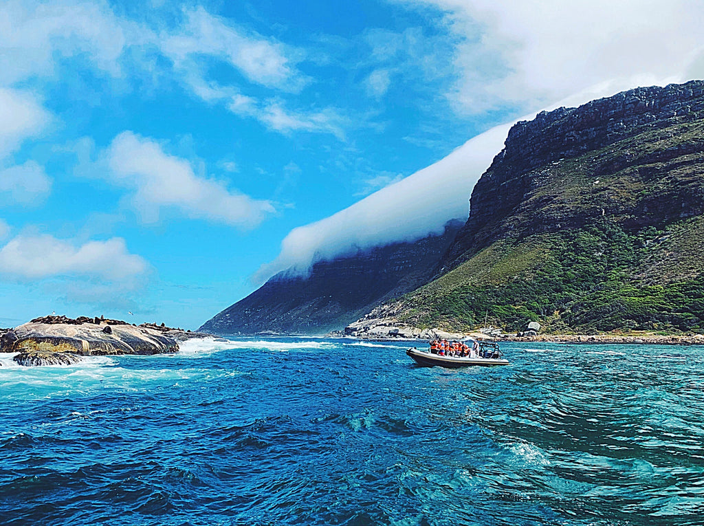 Cape Point to Kalk Bay Power Boats