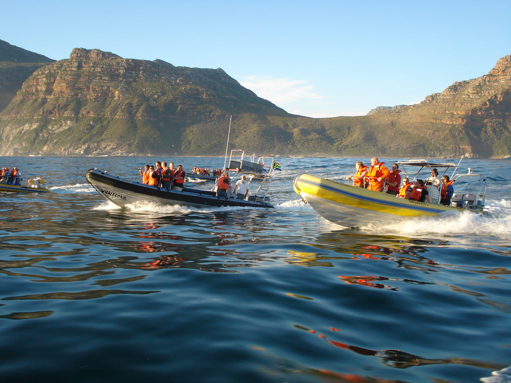 Power Boats Cape Point