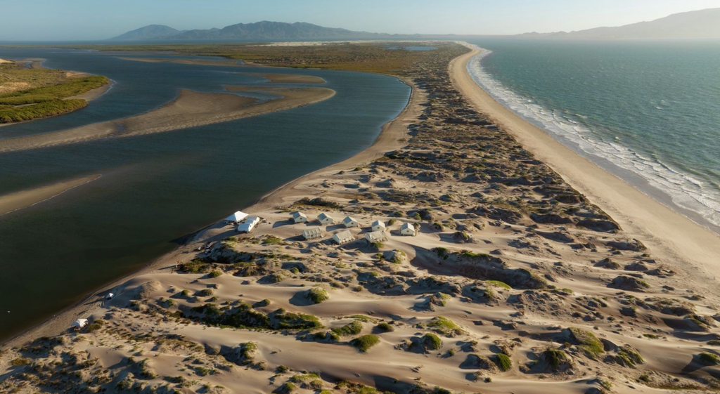 TOSEA's Camp Cecil de la Bahia