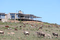 Gemsbok Table Restaurant