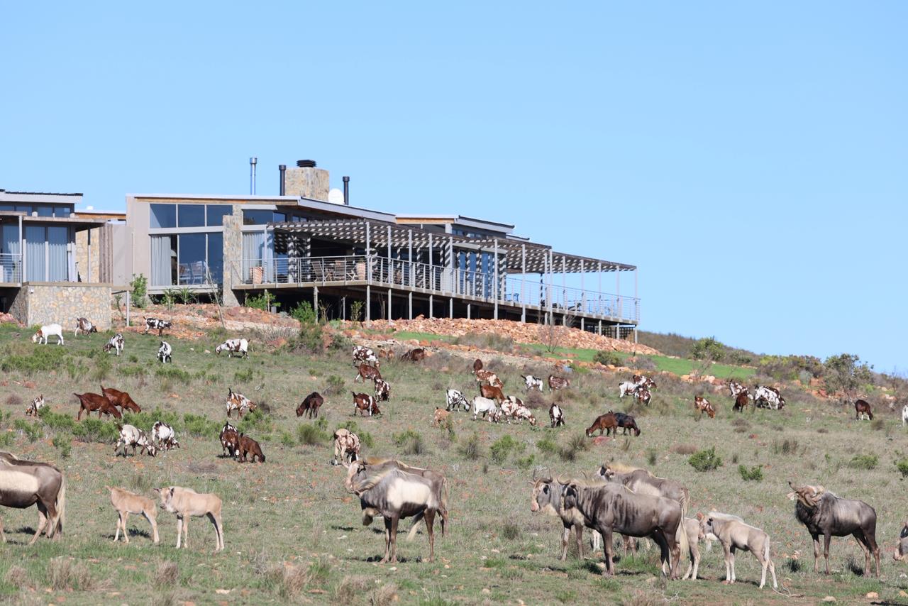 Gemsbok Table Restaurant
