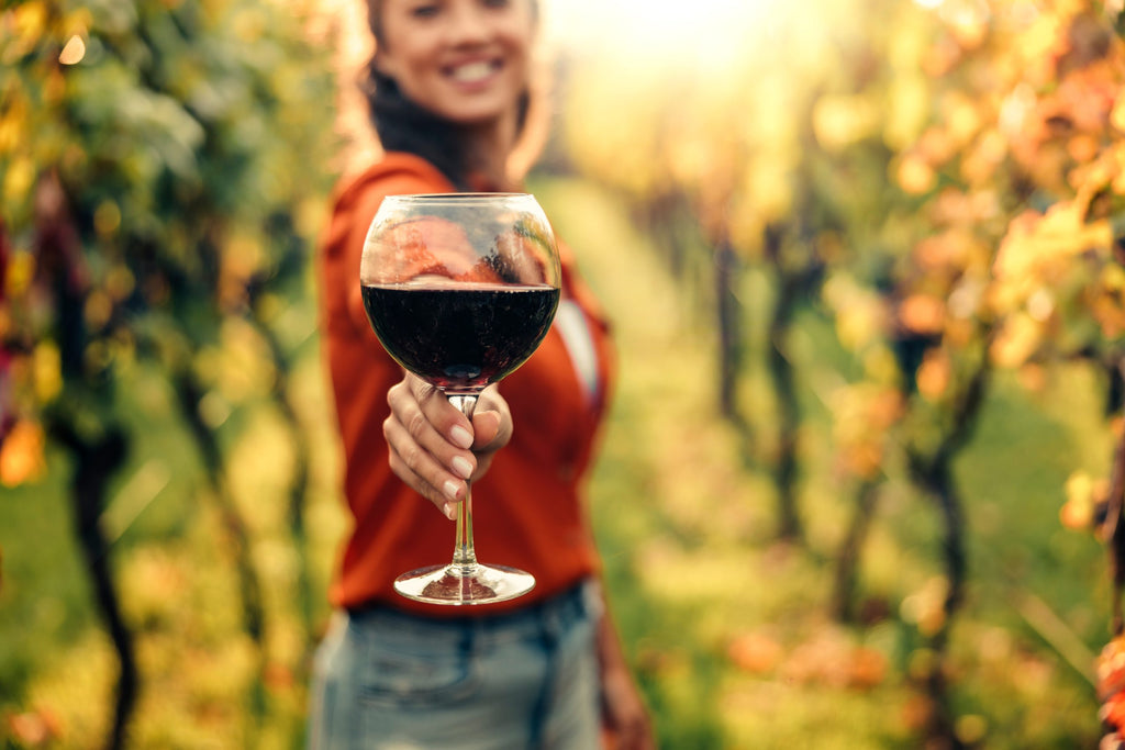 Stellenbosch Wine Safari - Stellenbosch North