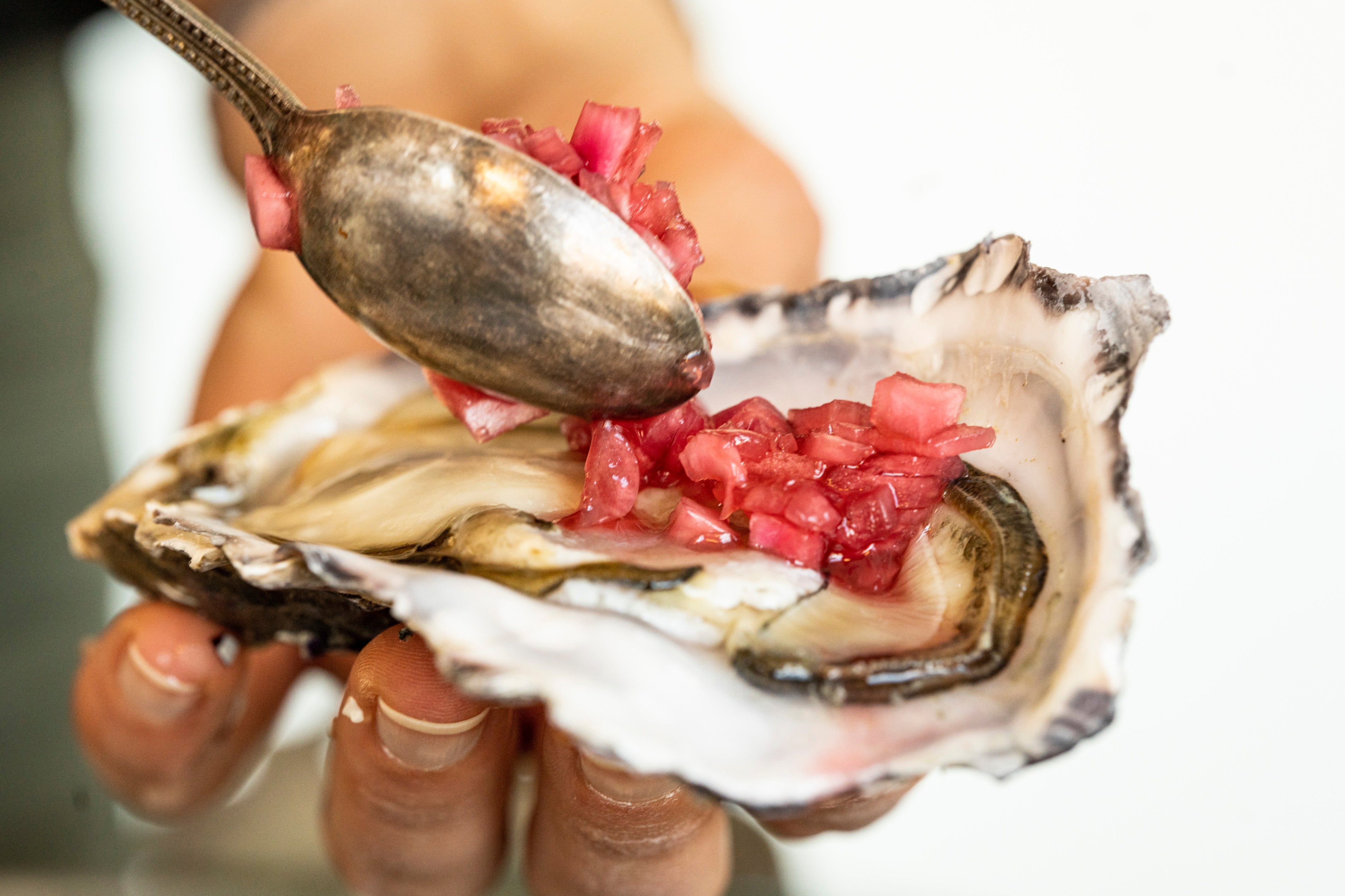 Cape Town Helicopters- West Cost Mussels & Oysters