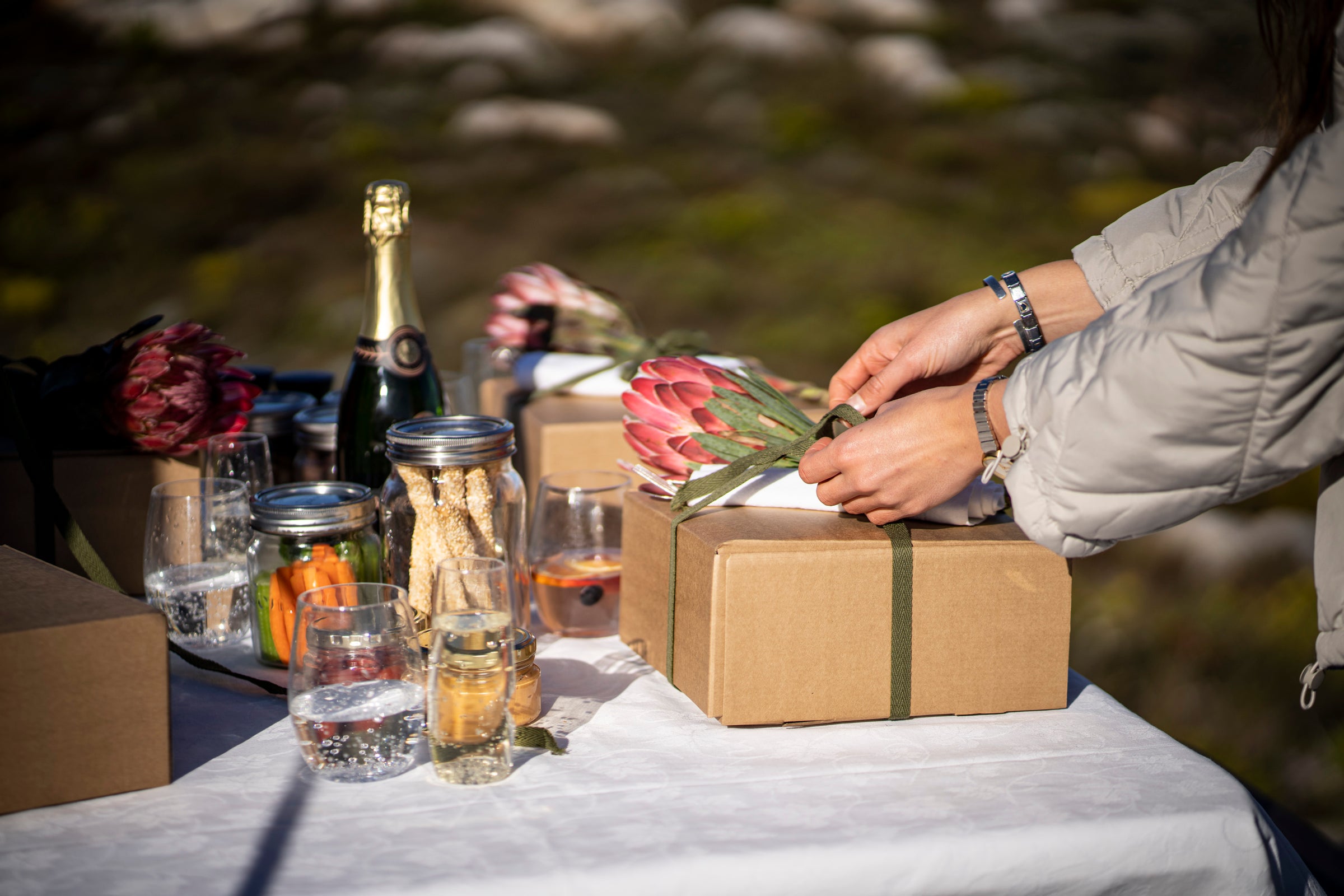 Fynbos Mountain Picnic