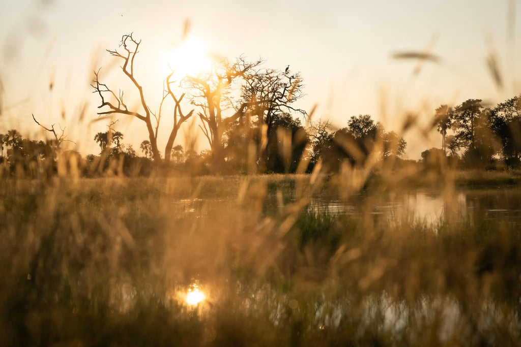 Singita Elela_Water pan at Singita Elela, Okavango Delta, Botswana.