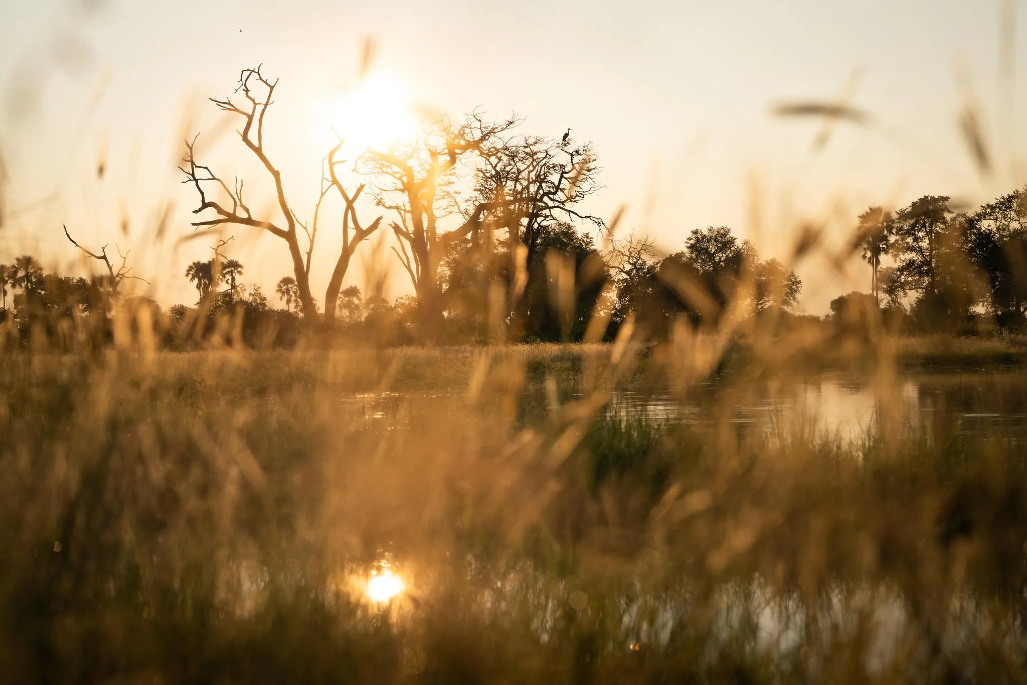 Singita Elela_Water pan at Singita Elela, Okavango Delta, Botswana.