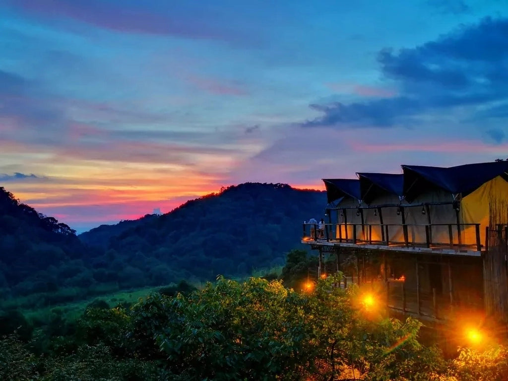 Vinetree Southern Silk Road Luxury Tented Resort (Tengchong)