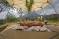 Quercus Signature Luxe Picnic Experience: A Culinary Retreat Amidst Nature