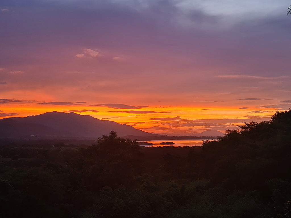 Sunset view