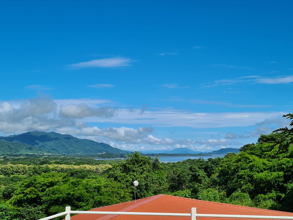 Terrace View