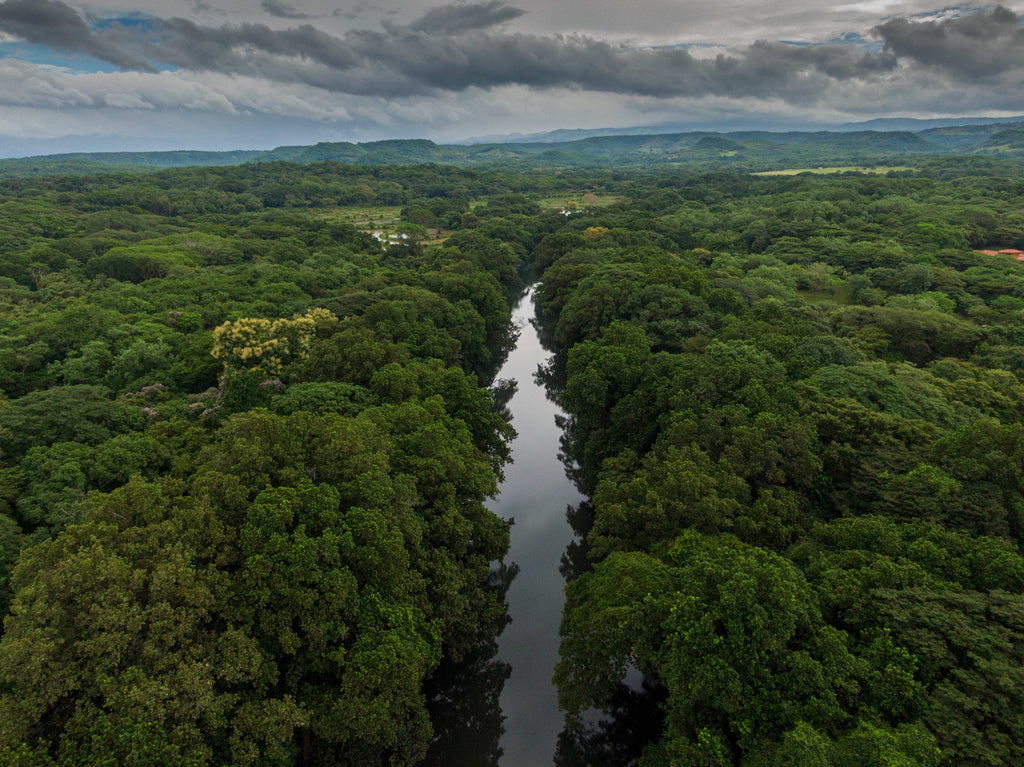 Quercus Travel Caño Negro Wildlife & Ecosystem Adventure