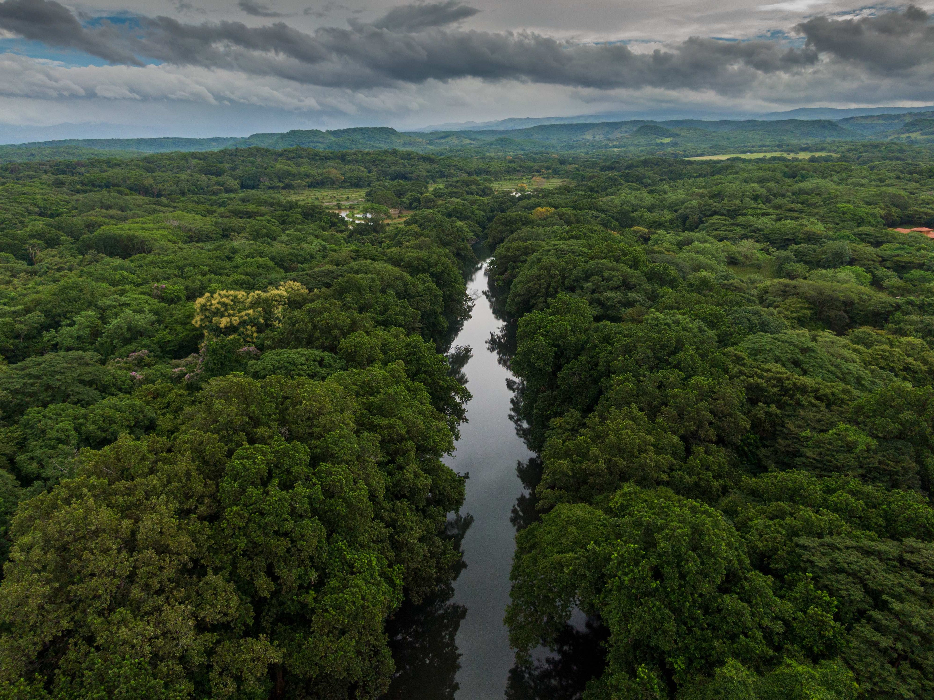 Quercus Travel Caño Negro Wildlife & Ecosystem Adventure