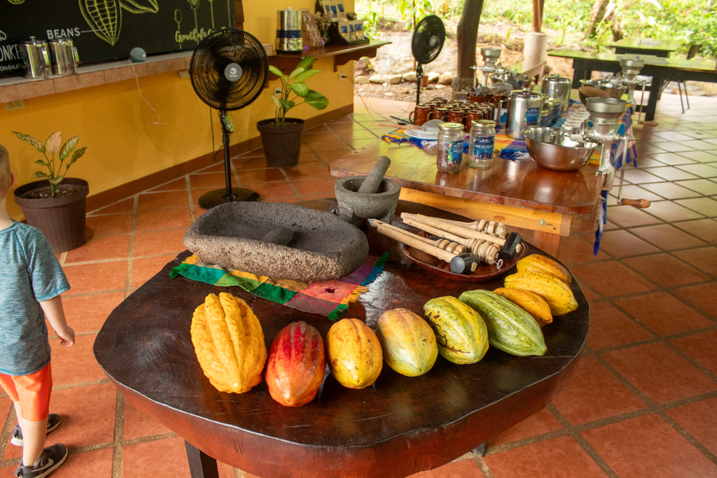 Quercus Travel Chocolate & Coffee Tour