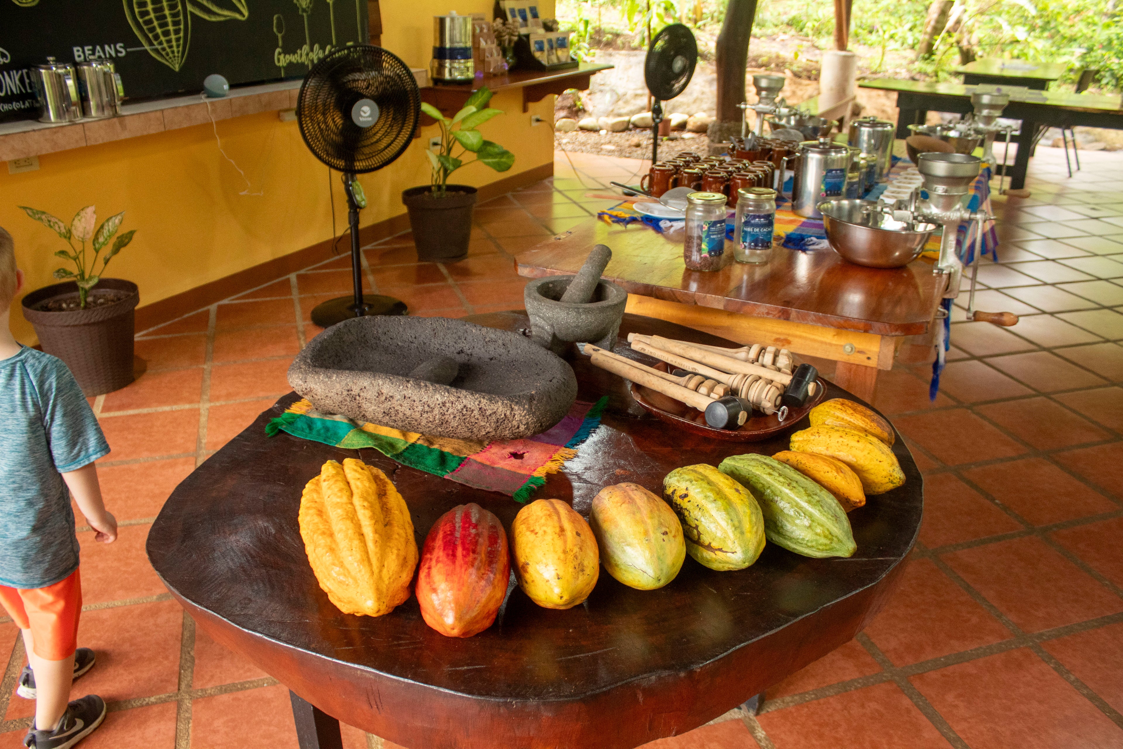 Quercus Travel Chocolate & Coffee Tour