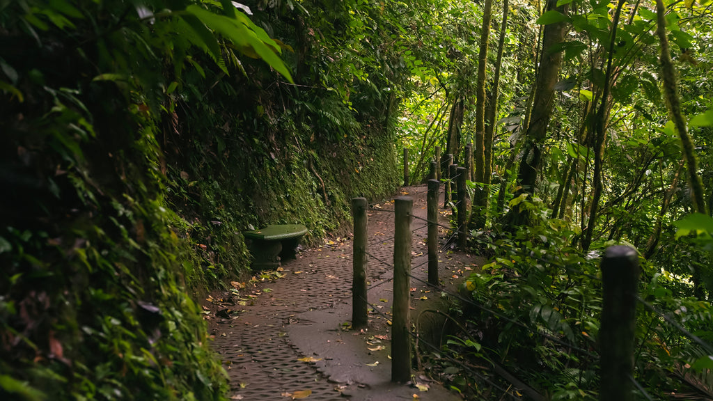 QuQuercus Travel Hanging Bridges
