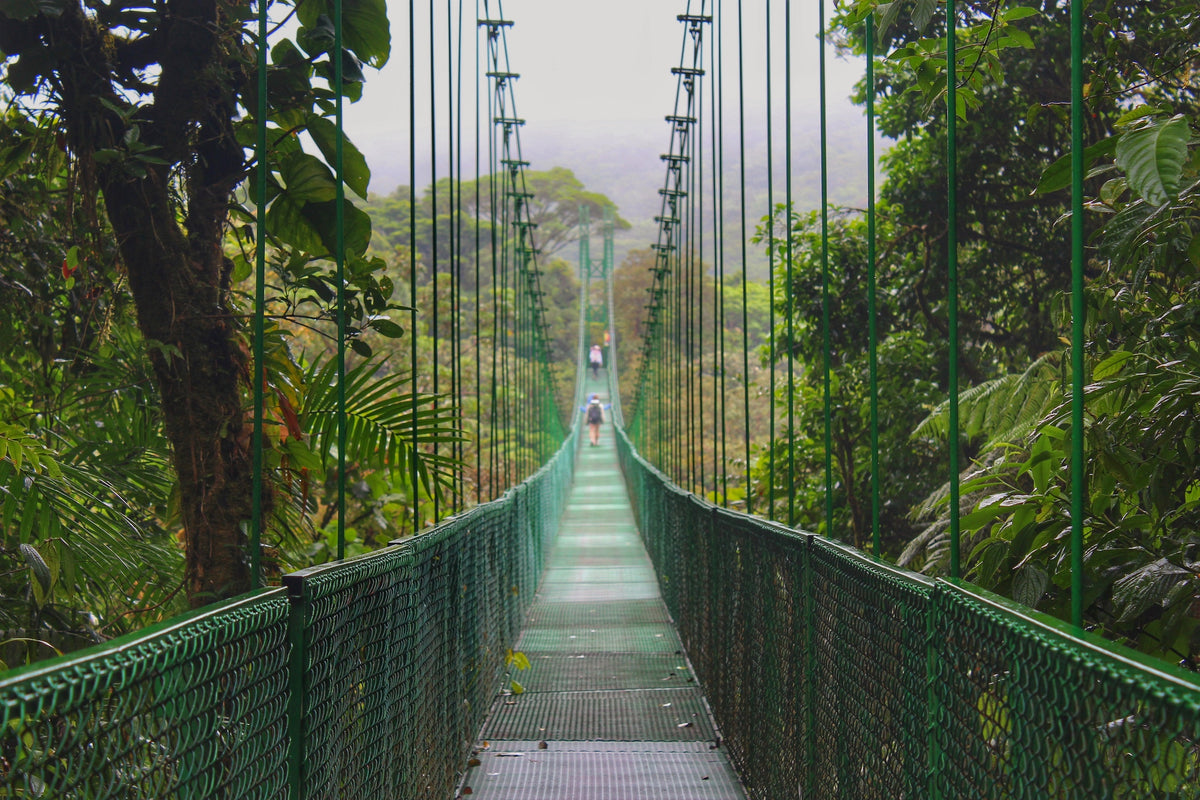 Quercus Travel La Fortuna Highlights. Hanging Bridges, La Fortuna Waterfall, Traditional Lunch & Volcano Hike