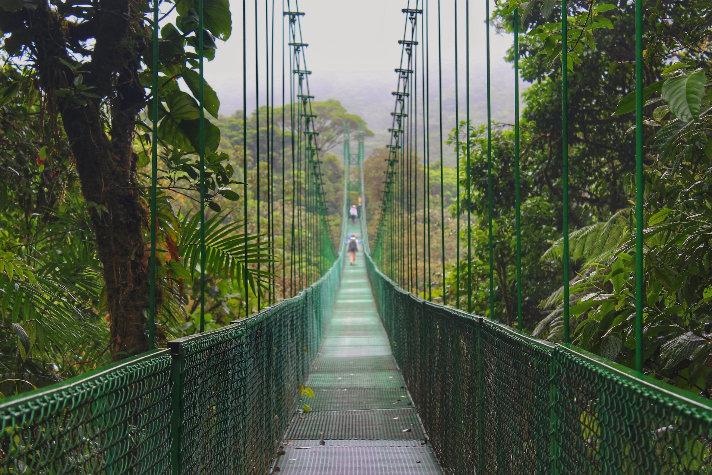 Quercus Travel La Fortuna Highlights. Hanging Bridges, La Fortuna Waterfall & Volcano Hike