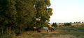 AlcantarA Ecuestre