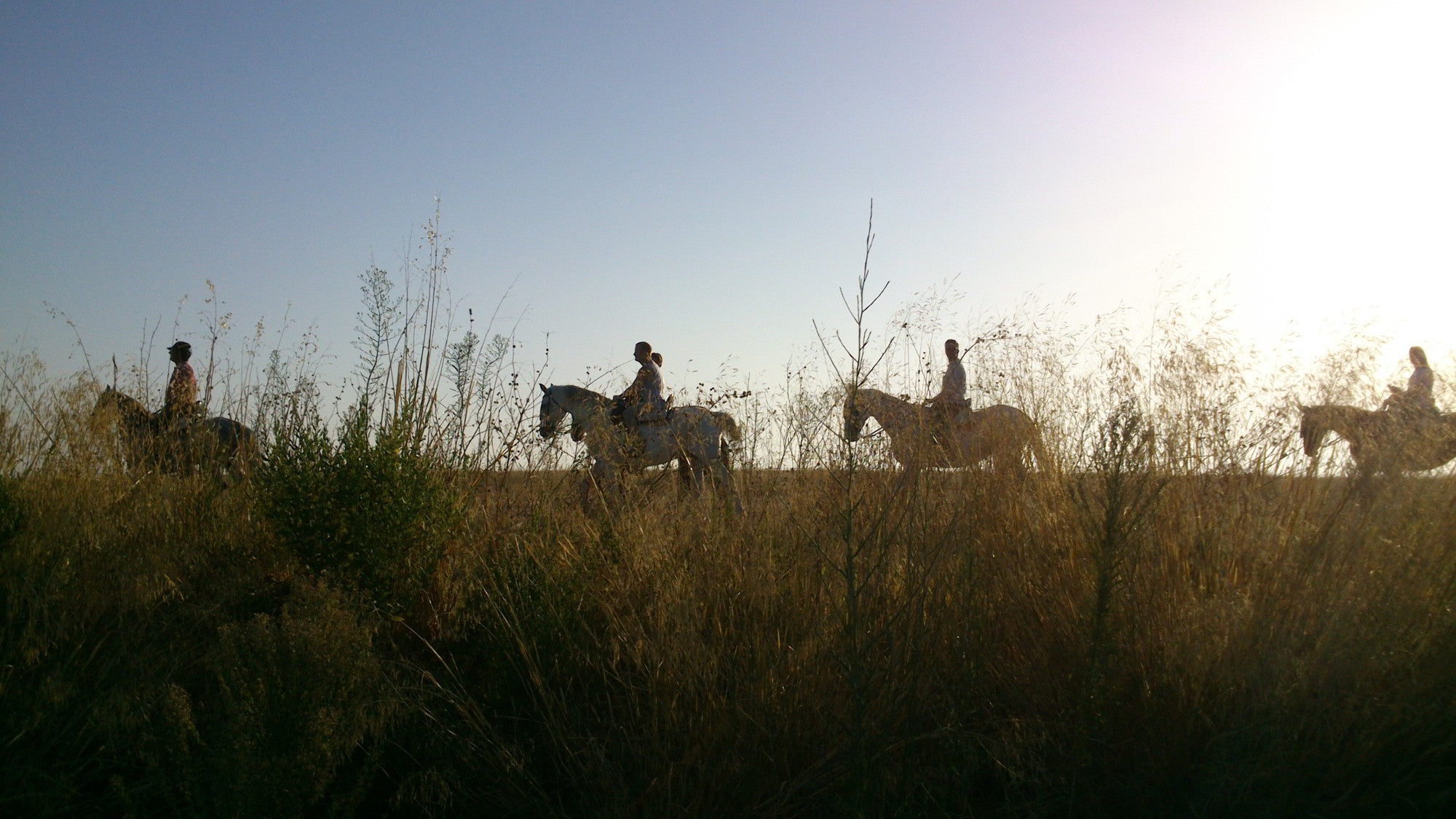 AlcantarA Ecuestre