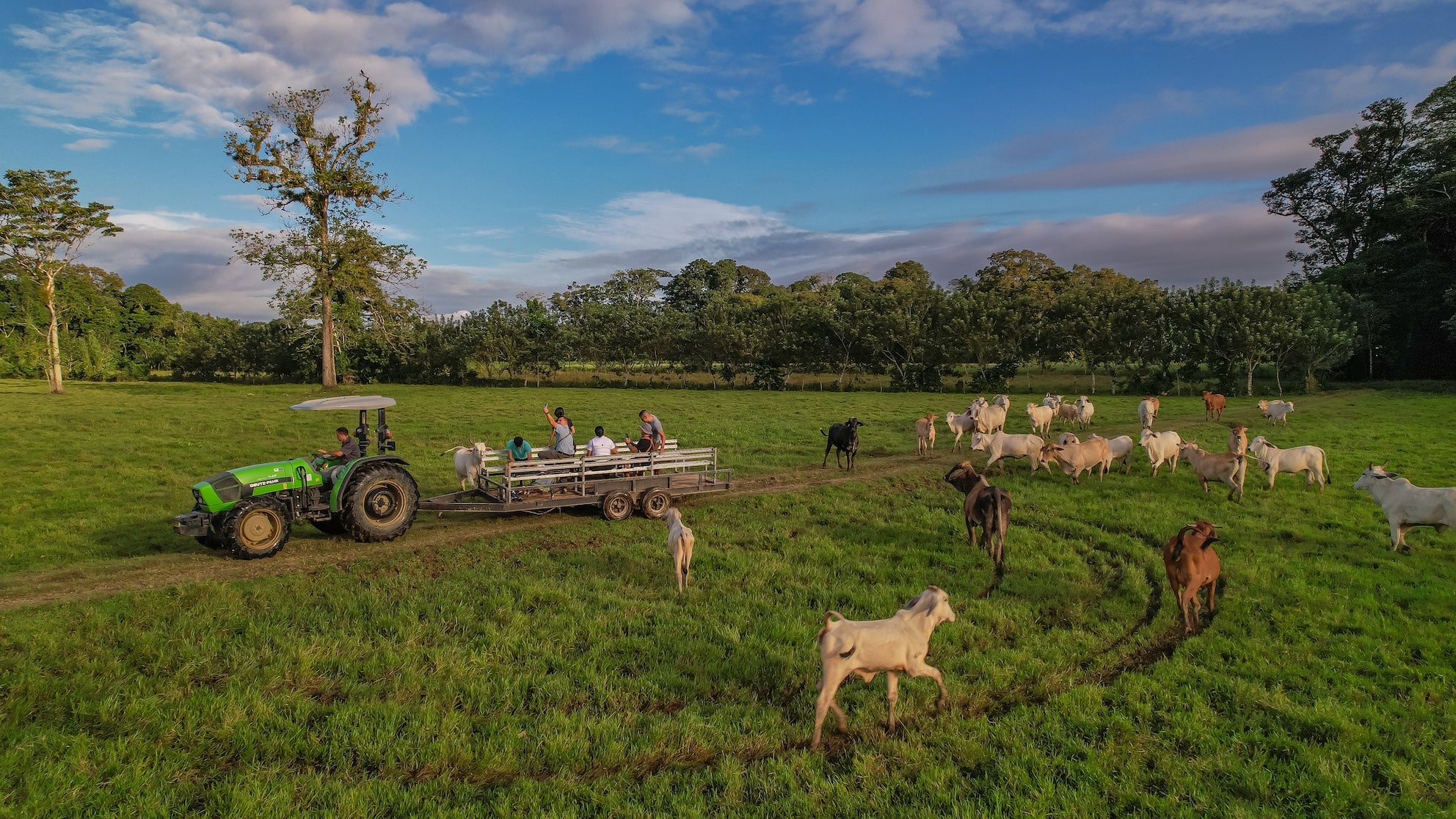 Costa Rican Wildlife, Flavors & Farm Life Adventure at the Monkey Park