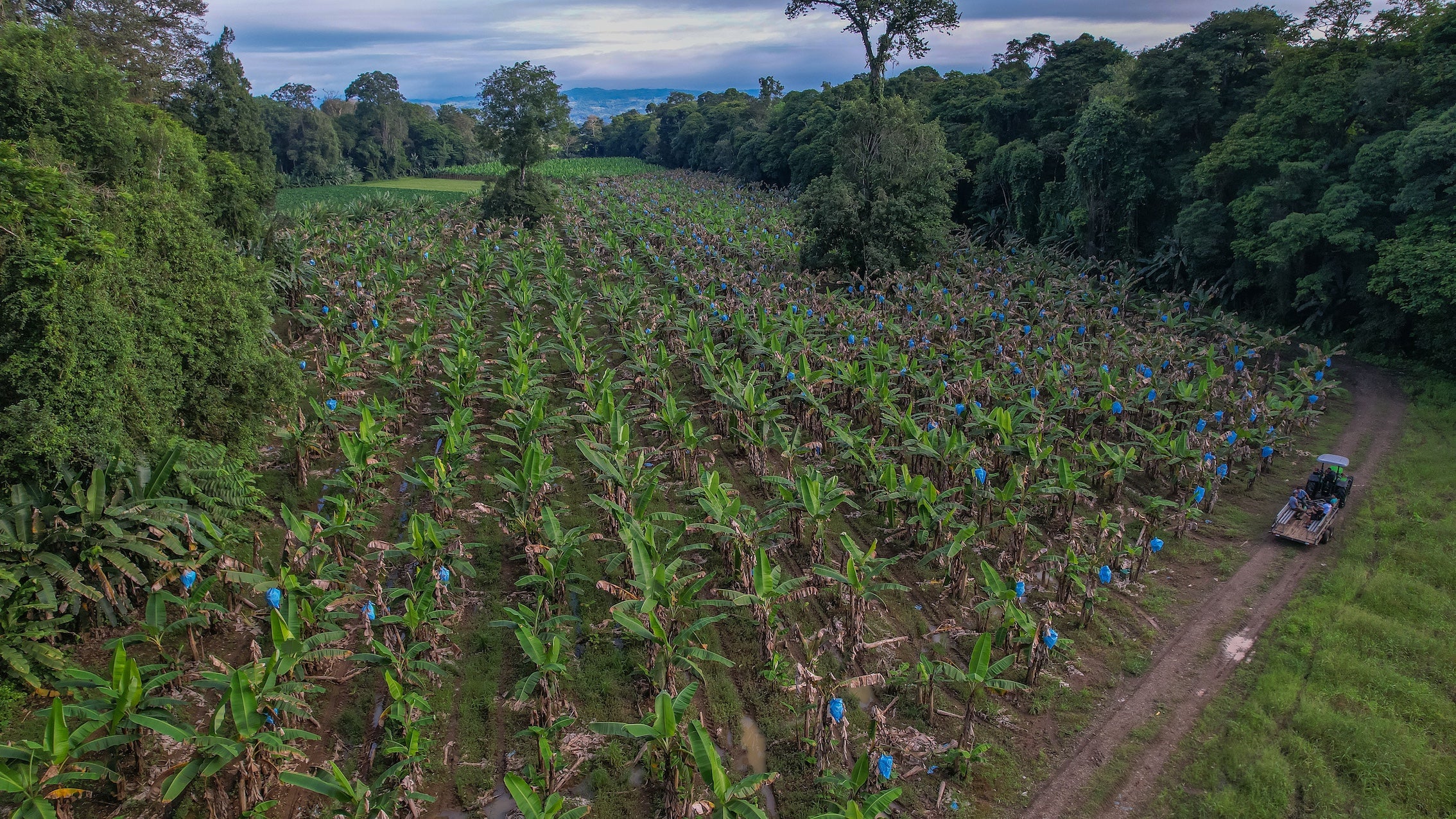 Costa Rican Wildlife, Flavors & Farm Life Adventure at the Monkey Park