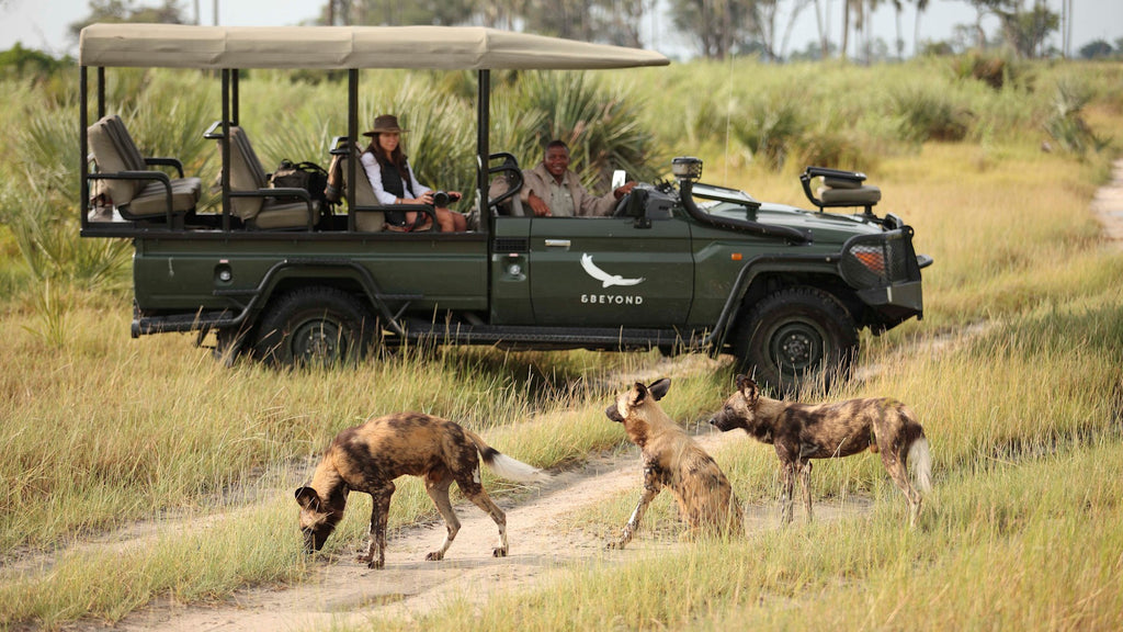 Game Drives (Included)