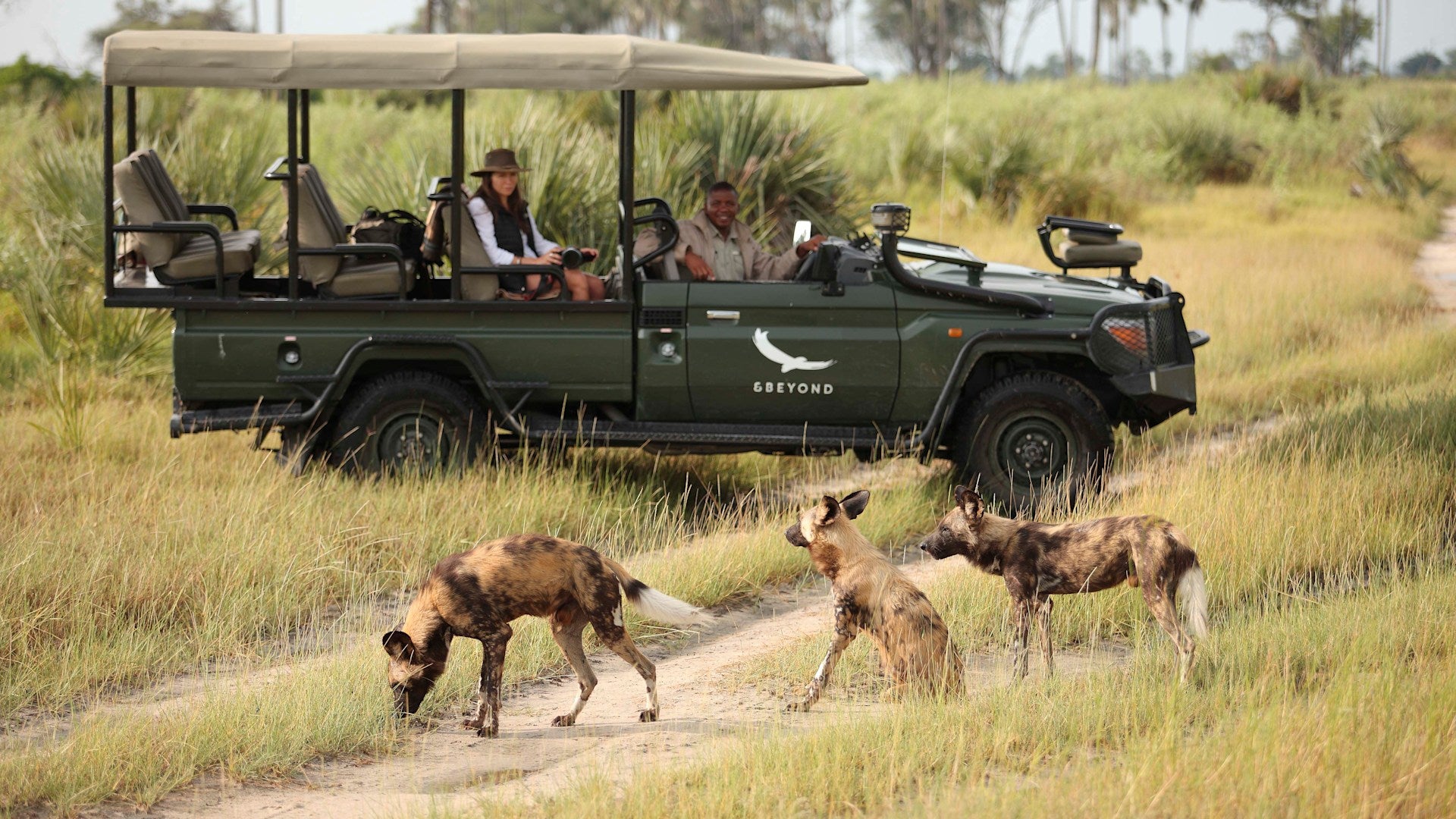 Game Drives (Included)