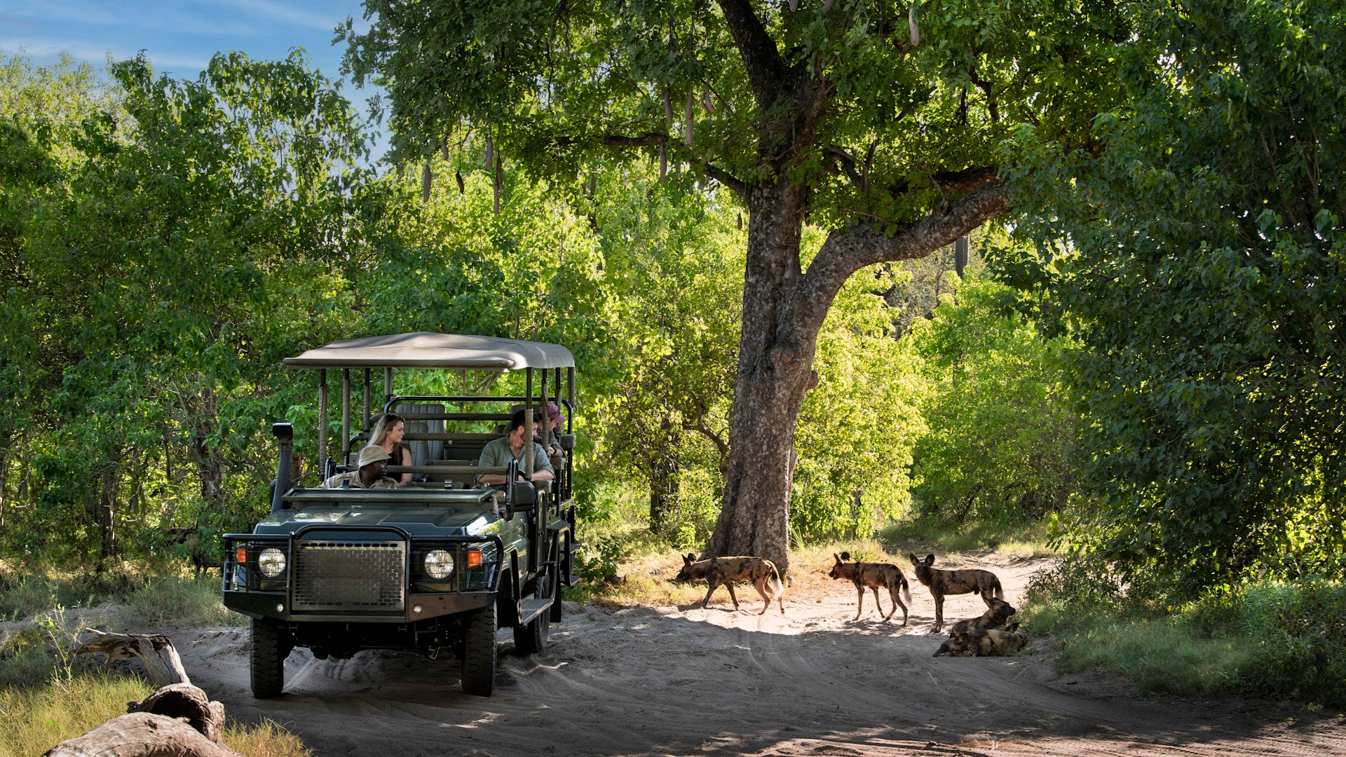 Game Drives (Included)