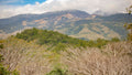Quercus Travel Rincon de la Vieja Volcano National Park & Oropéndula Waterfall Private Adventure