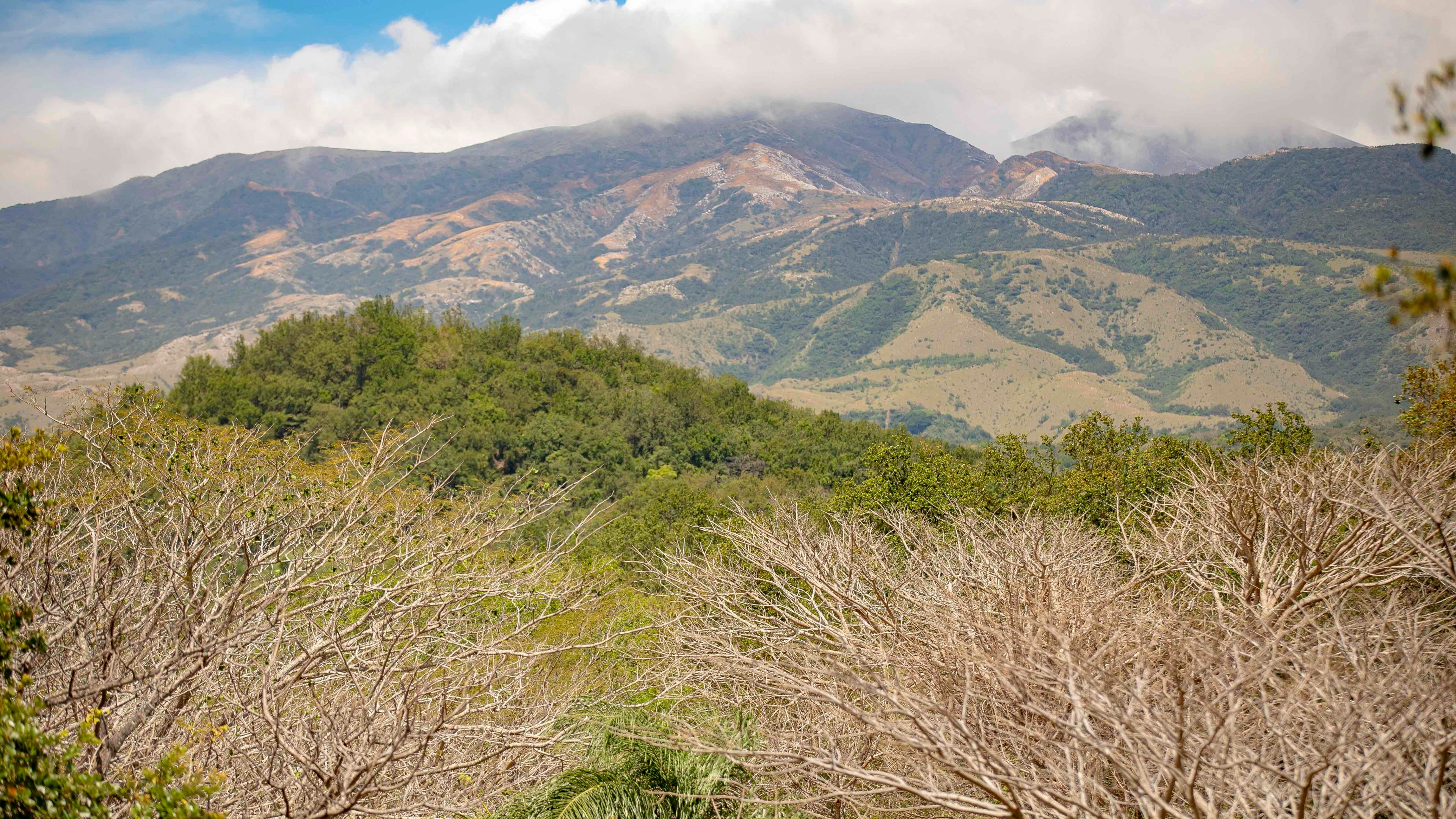 Quercus Travel Rincon de la Vieja Volcano National Park & Oropéndula Waterfall Private Adventure