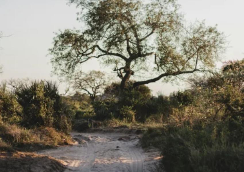 House Marape — Sanctuary Safari Drive