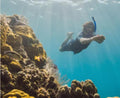 Snorkeling 