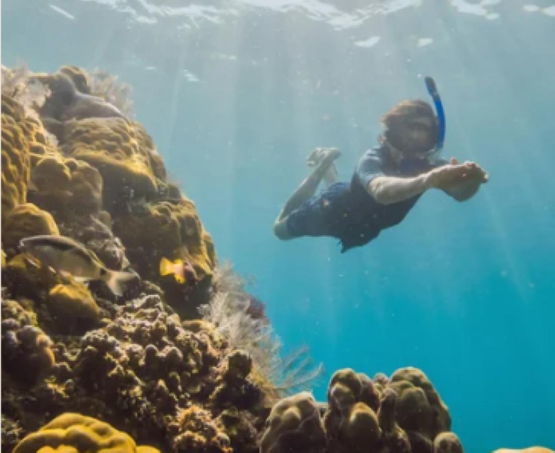 House Marape — Snorkeling