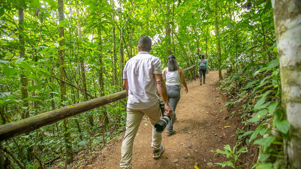 Quercus Travel Birdwatching. Wetlands & Hacienda Guanacaste Style. Finca El Roble