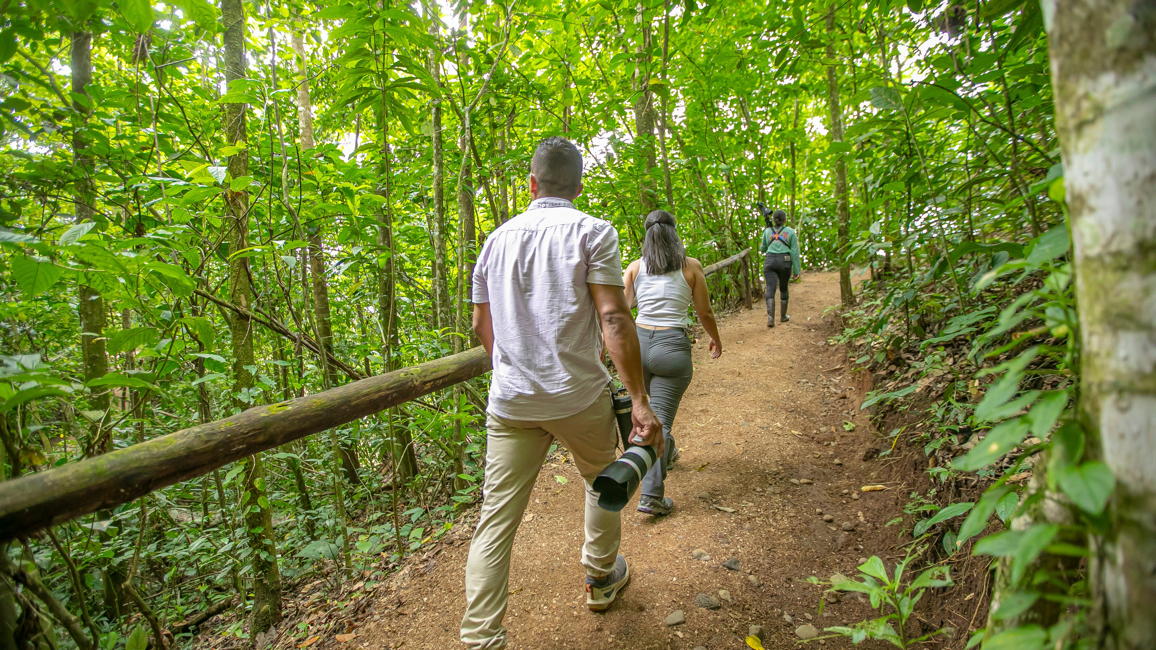 Quercus Travel Birdwatching. Wetlands & Hacienda Guanacaste Style. Finca El Roble