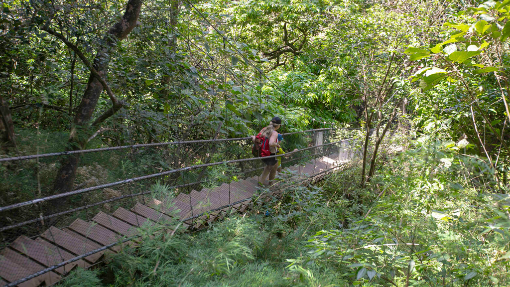 Quercus Travel Hacienda Guachipelin