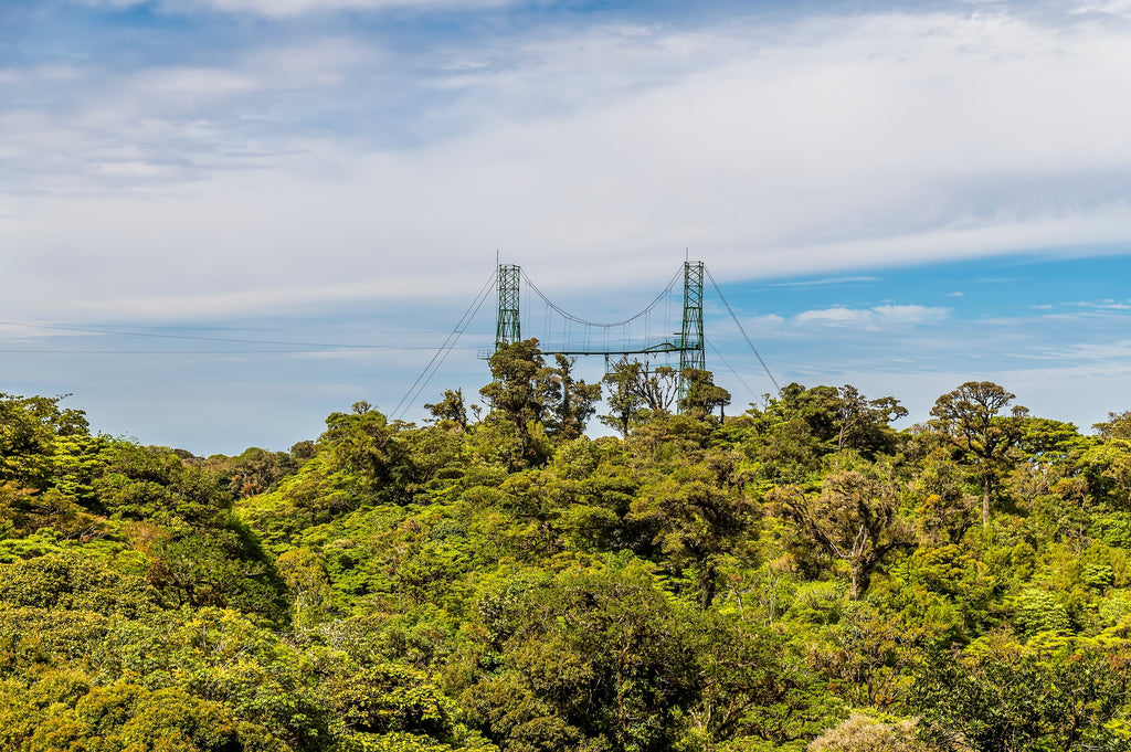 Quercus Travel Monteverde Cloud Forest. One-day Tour. Canopy, hanging bridges & lunch