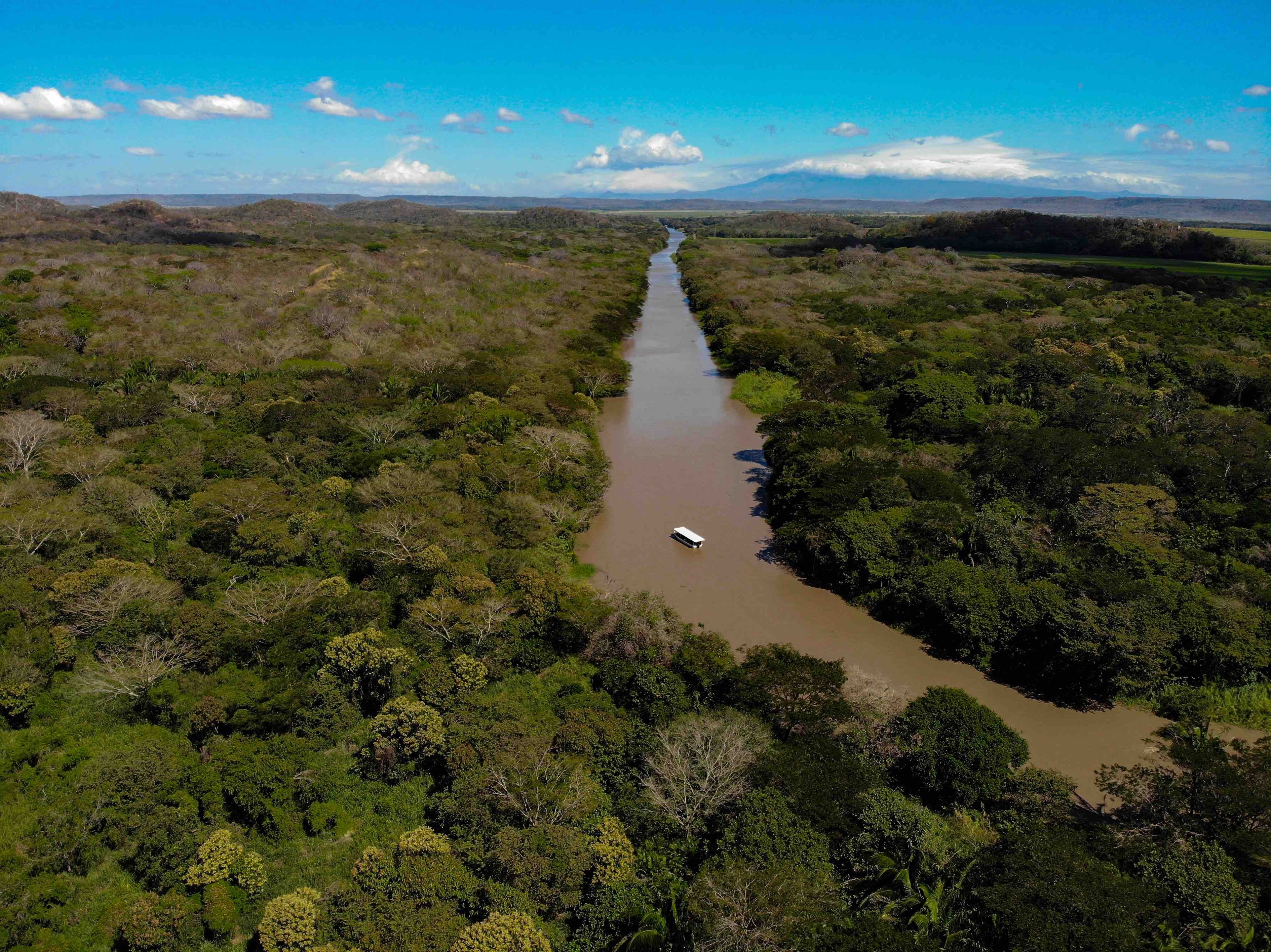 Quercus Travel Palo Verde Boat Safari with Cultural Experience or Rum Experience