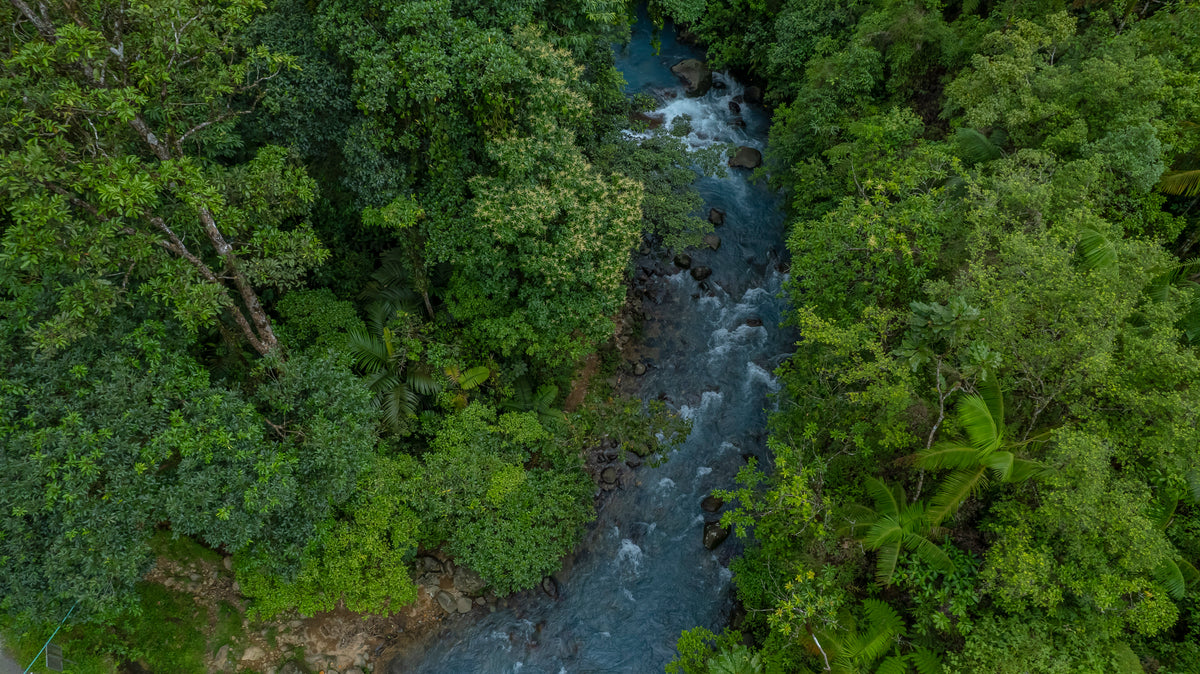 Quercus Travel Rio Celeste Waterfall & Sloth Quest