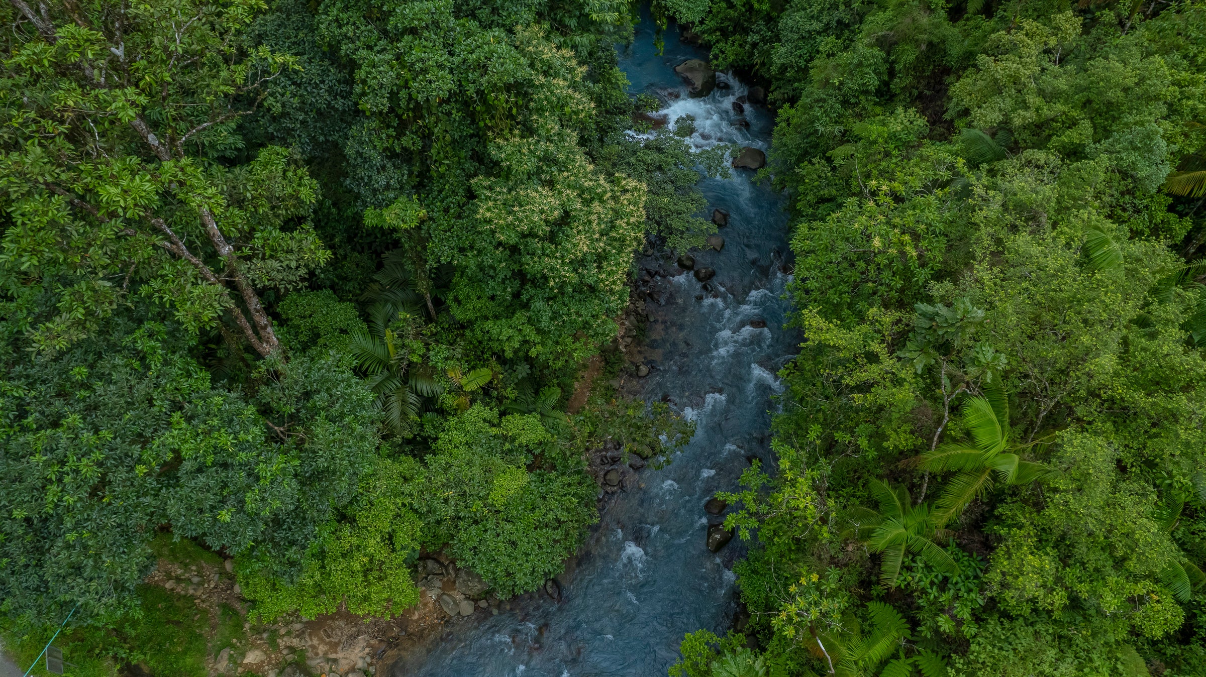 Quercus Travel Rio Celeste Waterfall & Sloth Quest